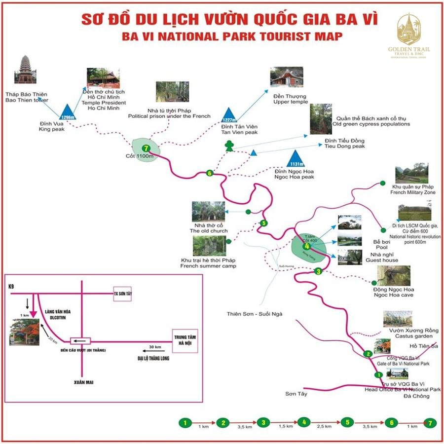 Hanoi to Ba Vi Bird Watching Tour: A Premier Avian Adventure